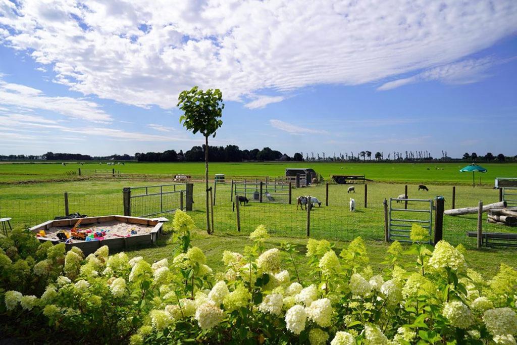 Vakantieboerderij Huize Nuis Noordbeemster Exterior foto